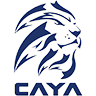 caya logo blue